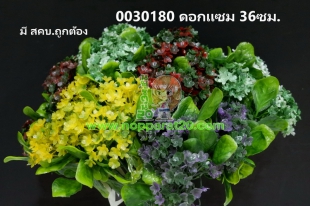 ขายส่งทุกอย่าง20,ทุกอย่าง20,ขายส่ง20,นพรัตน์20,แฟรนไชต์20,แฟรนไชส์20