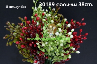 ขายส่งทุกอย่าง20,ทุกอย่าง20,ขายส่ง20,นพรัตน์20,แฟรนไชต์20,แฟรนไชส์20