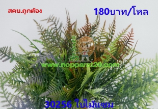 ขายส่งทุกอย่าง20,ทุกอย่าง20,ขายส่ง20,นพรัตน์20,แฟรนไชต์20,แฟรนไชส์20
