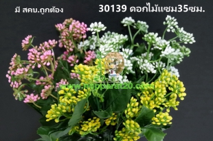 ขายส่งทุกอย่าง20,ทุกอย่าง20,ขายส่ง20,นพรัตน์20,แฟรนไชต์20,แฟรนไชส์20