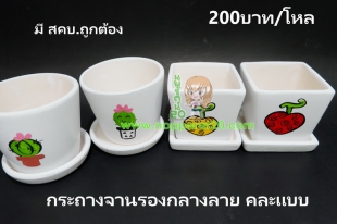 ขายส่งทุกอย่าง20,ทุกอย่าง20,ขายส่ง20,นพรัตน์20,แฟรนไชต์20,แฟรนไชส์20
