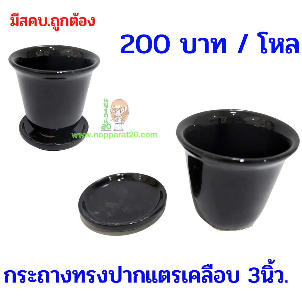 ขายส่งทุกอย่าง20,ทุกอย่าง20,ขายส่ง20,นพรัตน์20,แฟรนไชต์20,แฟรนไชส์20