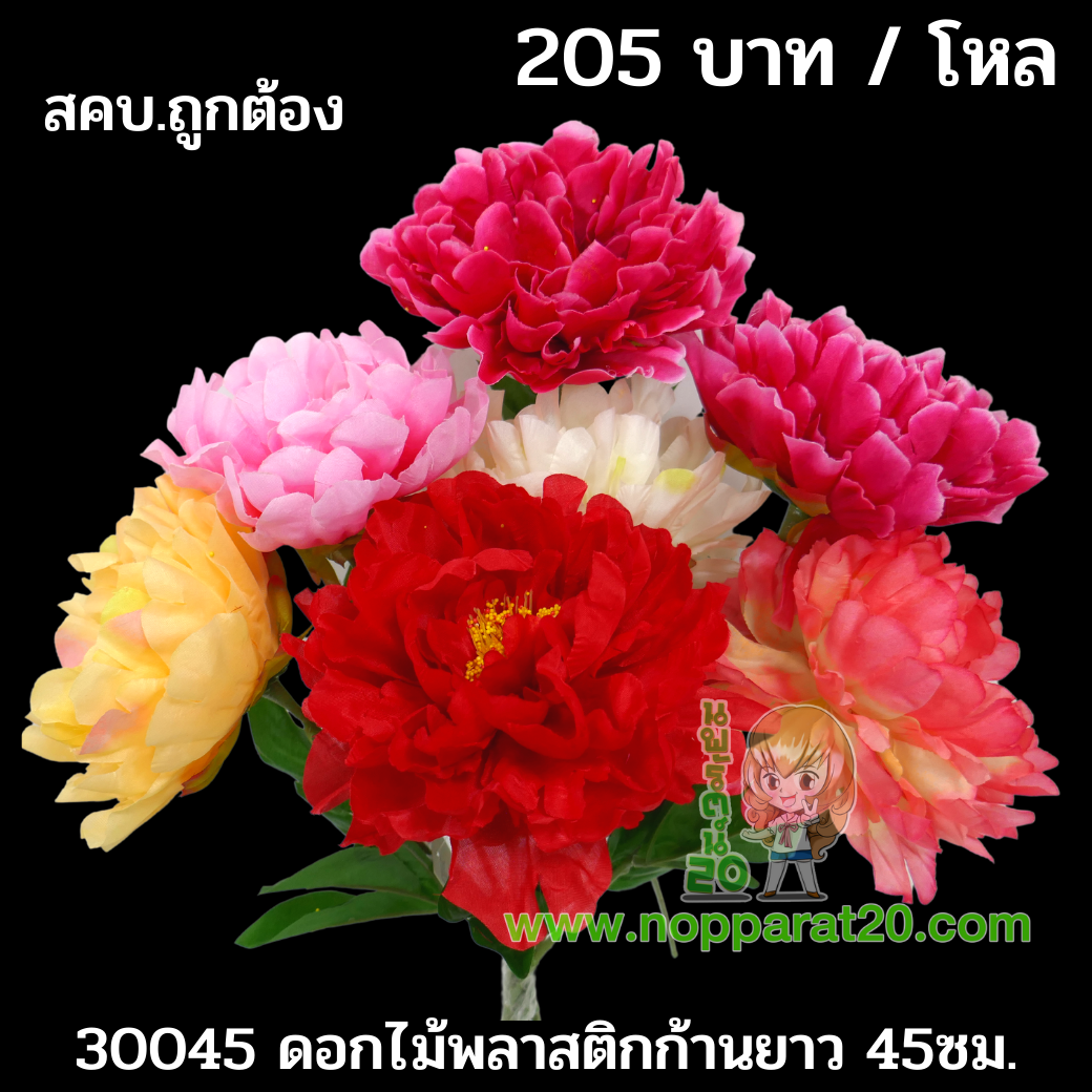 ขายส่งทุกอย่าง20,ทุกอย่าง20,ขายส่ง20,นพรัตน์20,แฟรนไชต์20,แฟรนไชส์20