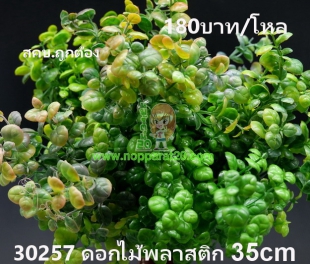 ขายส่งทุกอย่าง20,ทุกอย่าง20,ขายส่ง20,นพรัตน์20,แฟรนไชต์20,แฟรนไชส์20