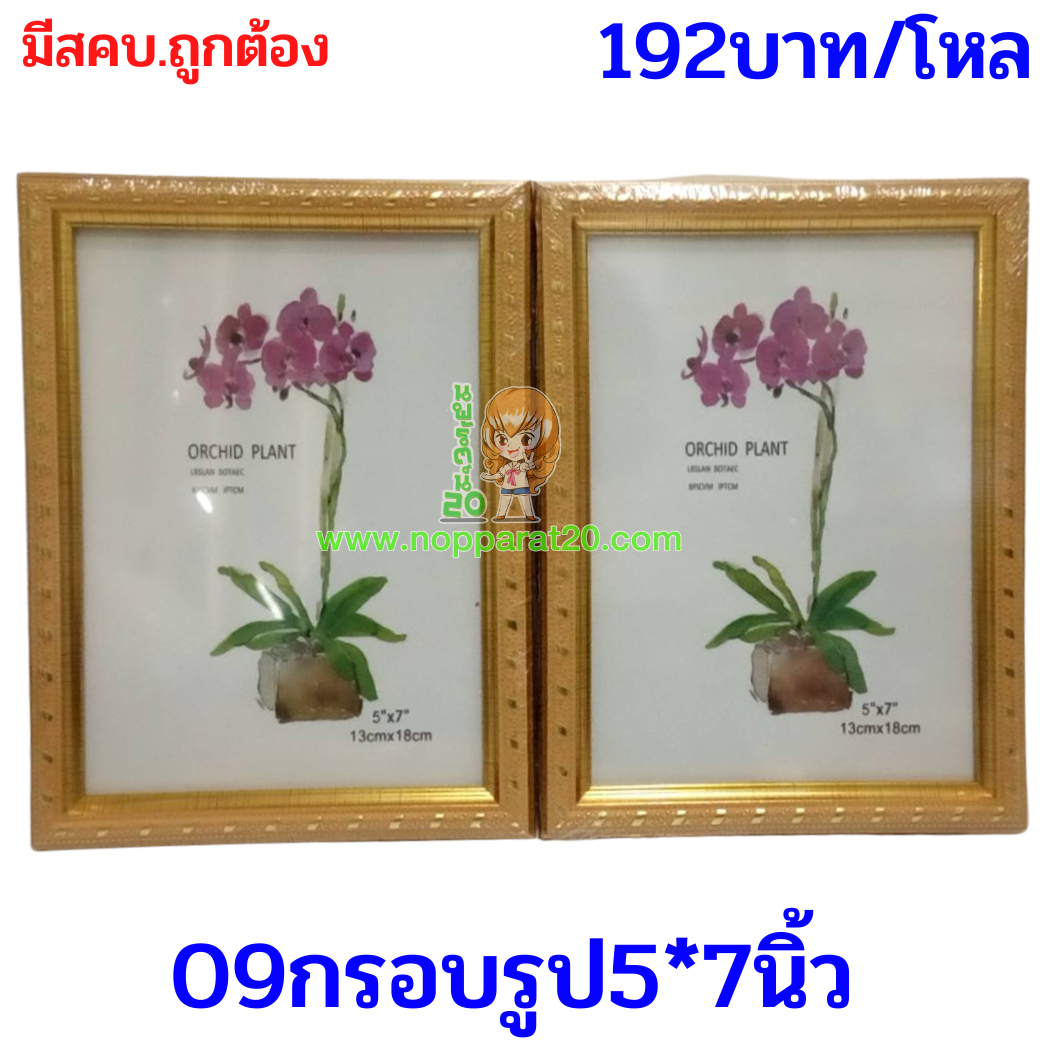 ขายส่งทุกอย่าง20,ทุกอย่าง20,ขายส่ง20,นพรัตน์20,แฟรนไชต์20,แฟรนไชส์20