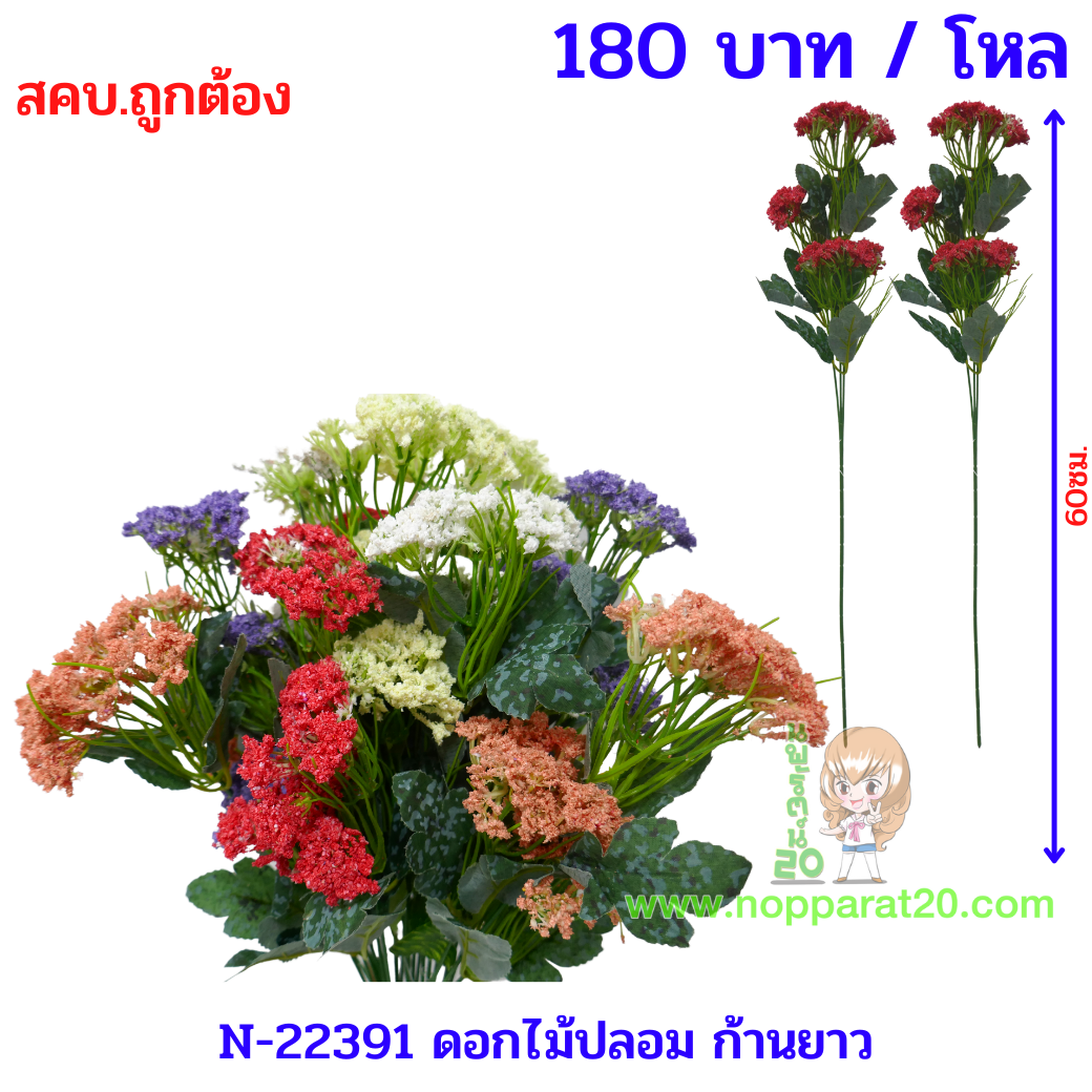 ขายส่งทุกอย่าง20,ทุกอย่าง20,ขายส่ง20,นพรัตน์20,แฟรนไชต์20,แฟรนไชส์20