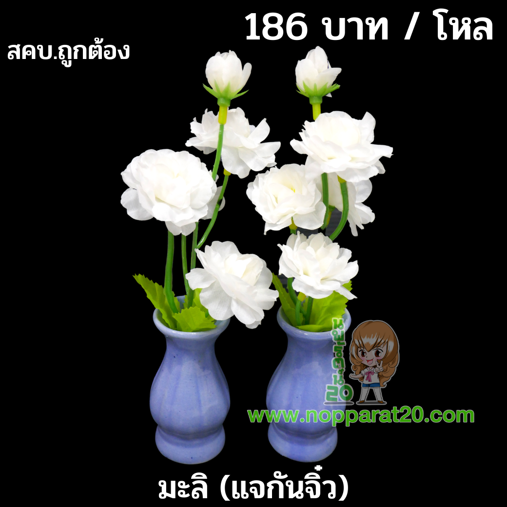 ขายส่งทุกอย่าง20,ทุกอย่าง20,ขายส่ง20,นพรัตน์20,แฟรนไชต์20,แฟรนไชส์20