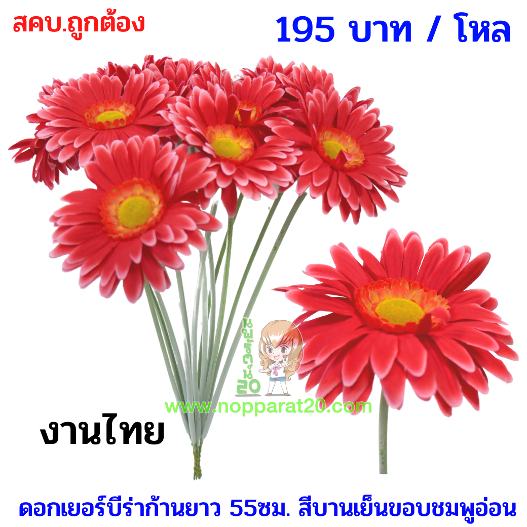 ขายส่งทุกอย่าง20,ทุกอย่าง20,ขายส่ง20,นพรัตน์20,แฟรนไชต์20,แฟรนไชส์20
