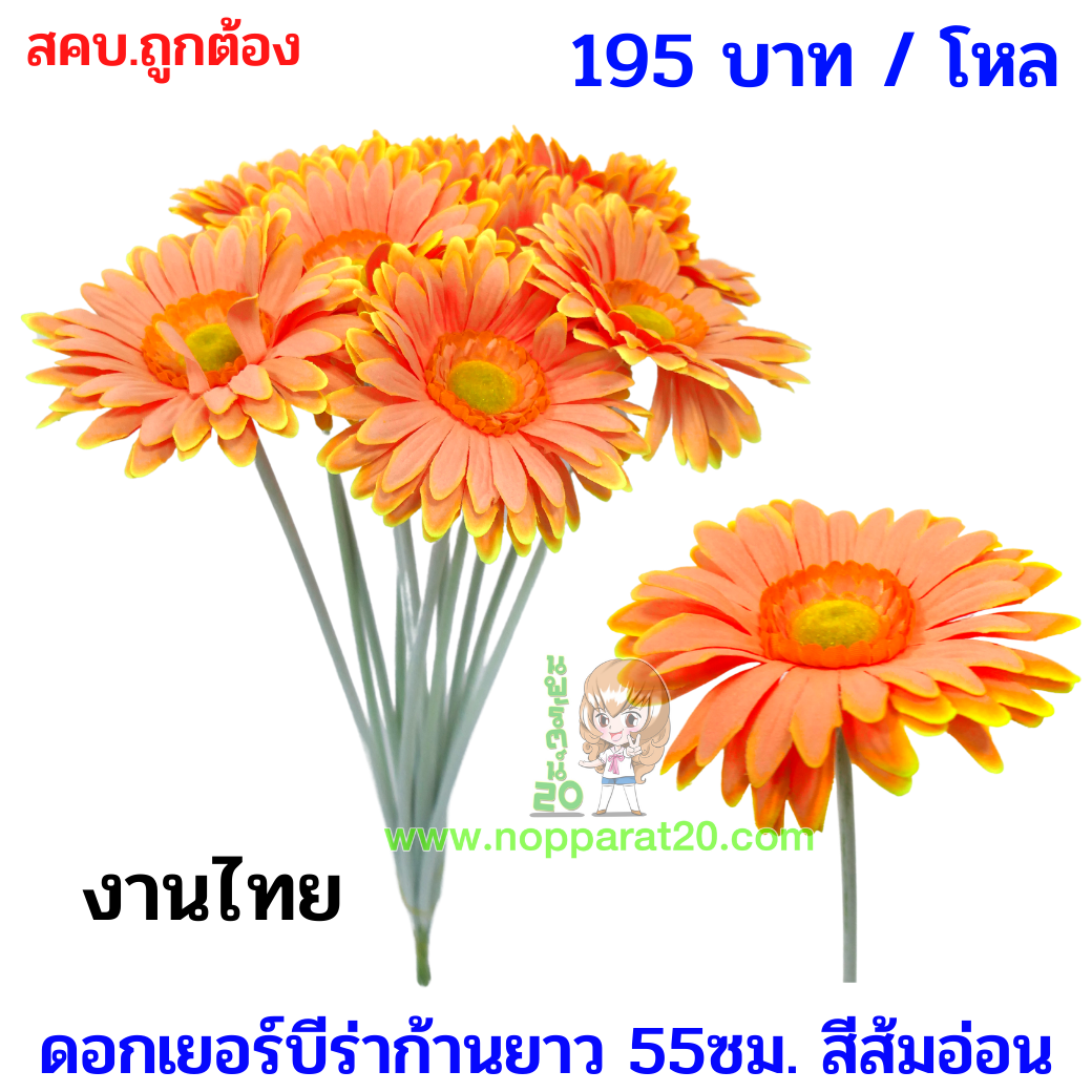 ขายส่งทุกอย่าง20,ทุกอย่าง20,ขายส่ง20,นพรัตน์20,แฟรนไชต์20,แฟรนไชส์20