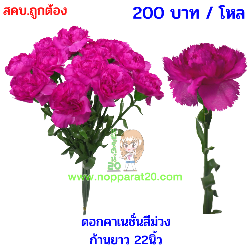 ขายส่งทุกอย่าง20,ทุกอย่าง20,ขายส่ง20,นพรัตน์20,แฟรนไชต์20,แฟรนไชส์20