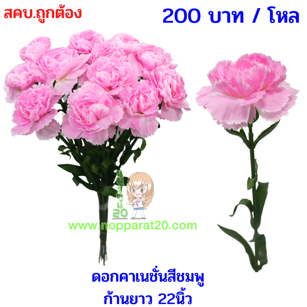 ขายส่งทุกอย่าง20,ทุกอย่าง20,ขายส่ง20,นพรัตน์20,แฟรนไชต์20,แฟรนไชส์20