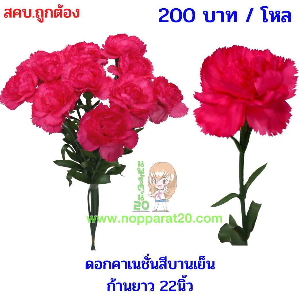 ขายส่งทุกอย่าง20,ทุกอย่าง20,ขายส่ง20,นพรัตน์20,แฟรนไชต์20,แฟรนไชส์20