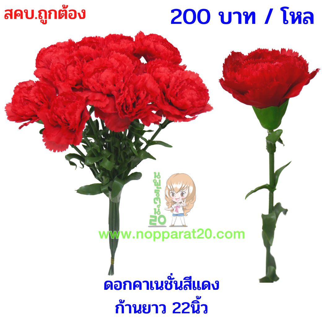 ขายส่งทุกอย่าง20,ทุกอย่าง20,ขายส่ง20,นพรัตน์20,แฟรนไชต์20,แฟรนไชส์20