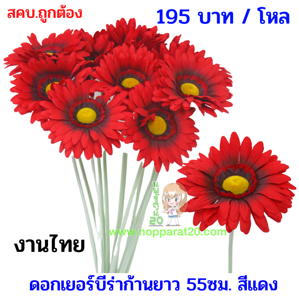 ขายส่งทุกอย่าง20,ทุกอย่าง20,ขายส่ง20,นพรัตน์20,แฟรนไชต์20,แฟรนไชส์20