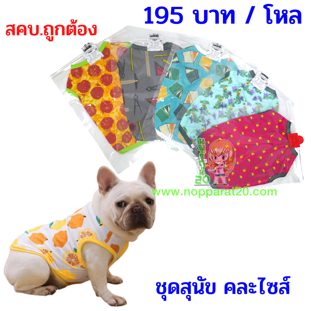 ขายส่งทุกอย่าง20,ทุกอย่าง20,ขายส่ง20,นพรัตน์20,แฟรนไชต์20,แฟรนไชส์20