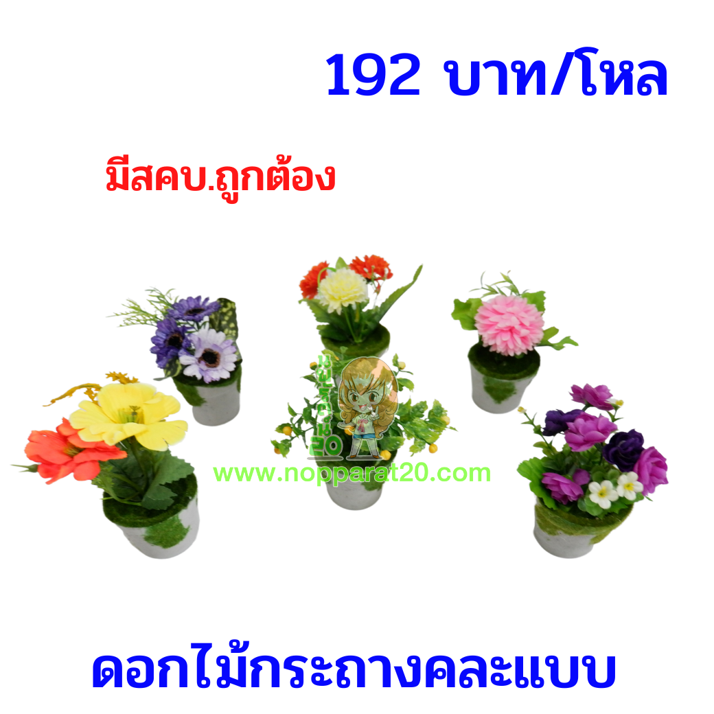 ขายส่งทุกอย่าง20,ทุกอย่าง20,ขายส่ง20,นพรัตน์20,แฟรนไชต์20,แฟรนไชส์20