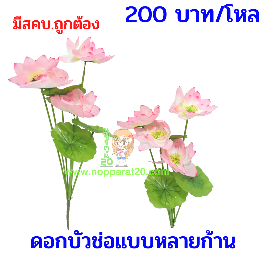 ขายส่งทุกอย่าง20,ทุกอย่าง20,ขายส่ง20,นพรัตน์20,แฟรนไชต์20,แฟรนไชส์20