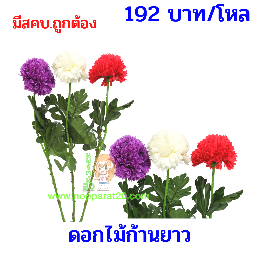 ขายส่งทุกอย่าง20,ทุกอย่าง20,ขายส่ง20,นพรัตน์20,แฟรนไชต์20,แฟรนไชส์20