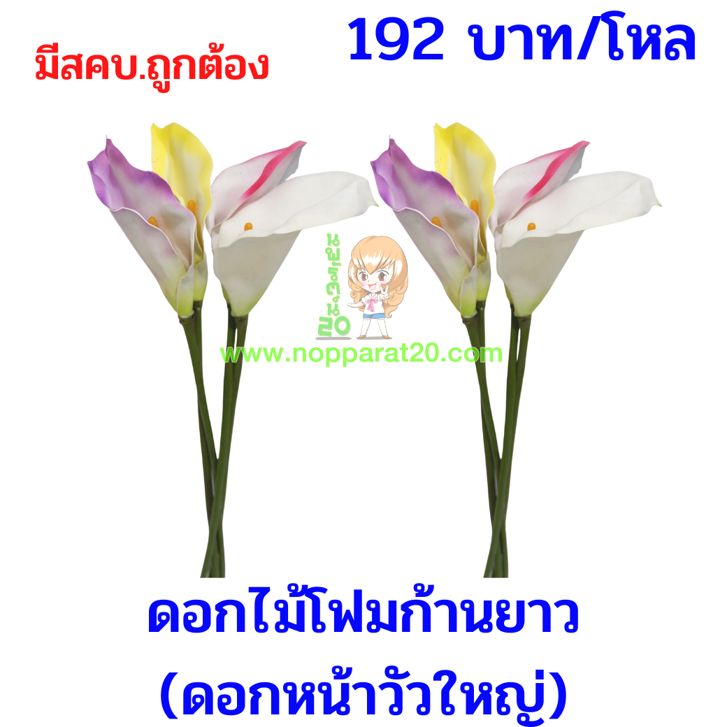 ขายส่งทุกอย่าง20,ทุกอย่าง20,ขายส่ง20,นพรัตน์20,แฟรนไชต์20,แฟรนไชส์20
