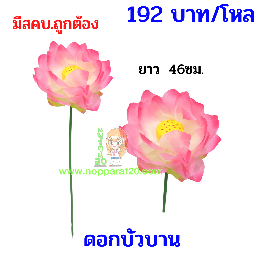 ขายส่งทุกอย่าง20,ทุกอย่าง20,ขายส่ง20,นพรัตน์20,แฟรนไชต์20,แฟรนไชส์20