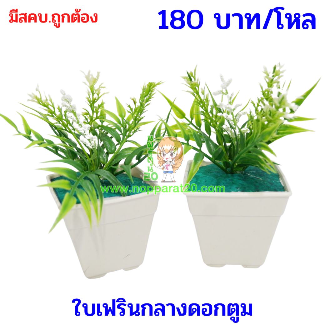 ขายส่งทุกอย่าง20,ทุกอย่าง20,ขายส่ง20,นพรัตน์20,แฟรนไชต์20,แฟรนไชส์20