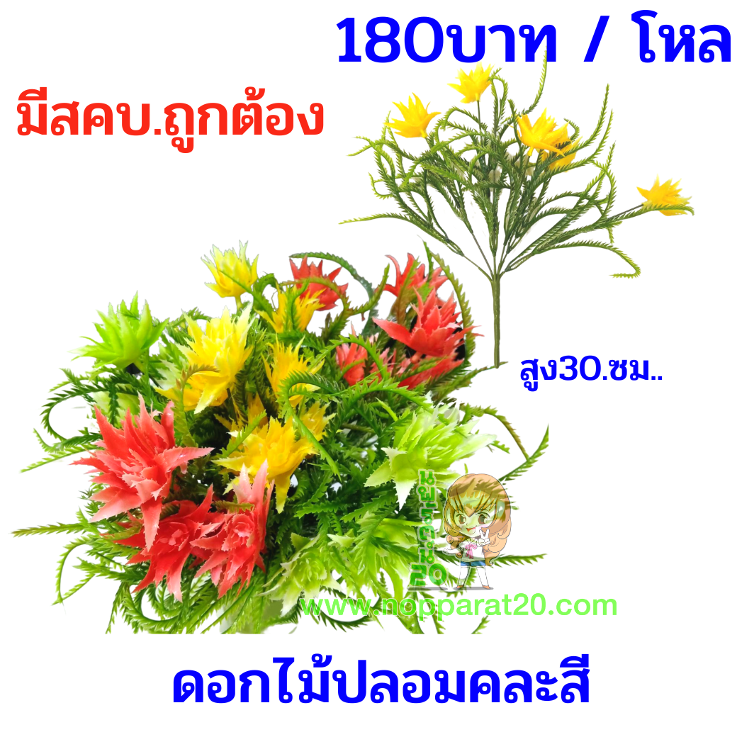 ขายส่งทุกอย่าง20,ทุกอย่าง20,ขายส่ง20,นพรัตน์20,แฟรนไชต์20,แฟรนไชส์20