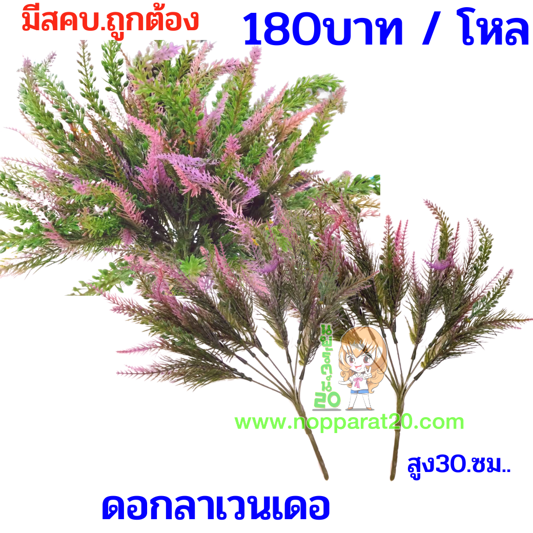 ขายส่งทุกอย่าง20,ทุกอย่าง20,ขายส่ง20,นพรัตน์20,แฟรนไชต์20,แฟรนไชส์20