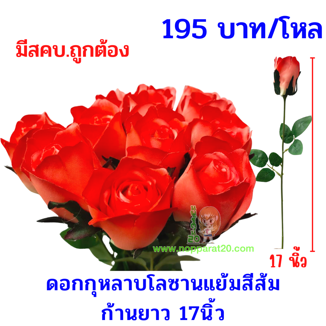 ขายส่งทุกอย่าง20,ทุกอย่าง20,ขายส่ง20,นพรัตน์20,แฟรนไชต์20,แฟรนไชส์20