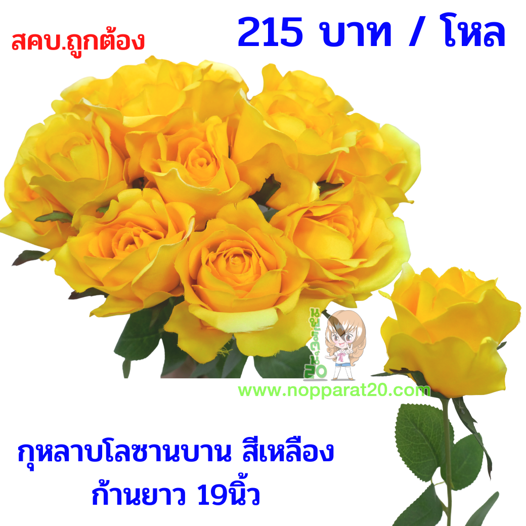 ขายส่งทุกอย่าง20,ทุกอย่าง20,ขายส่ง20,นพรัตน์20,แฟรนไชต์20,แฟรนไชส์20