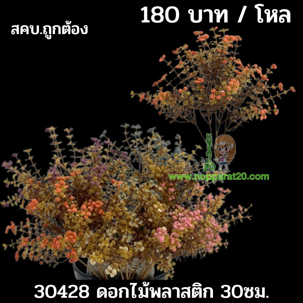 ขายส่งทุกอย่าง20,ทุกอย่าง20,ขายส่ง20,นพรัตน์20,แฟรนไชต์20,แฟรนไชส์20