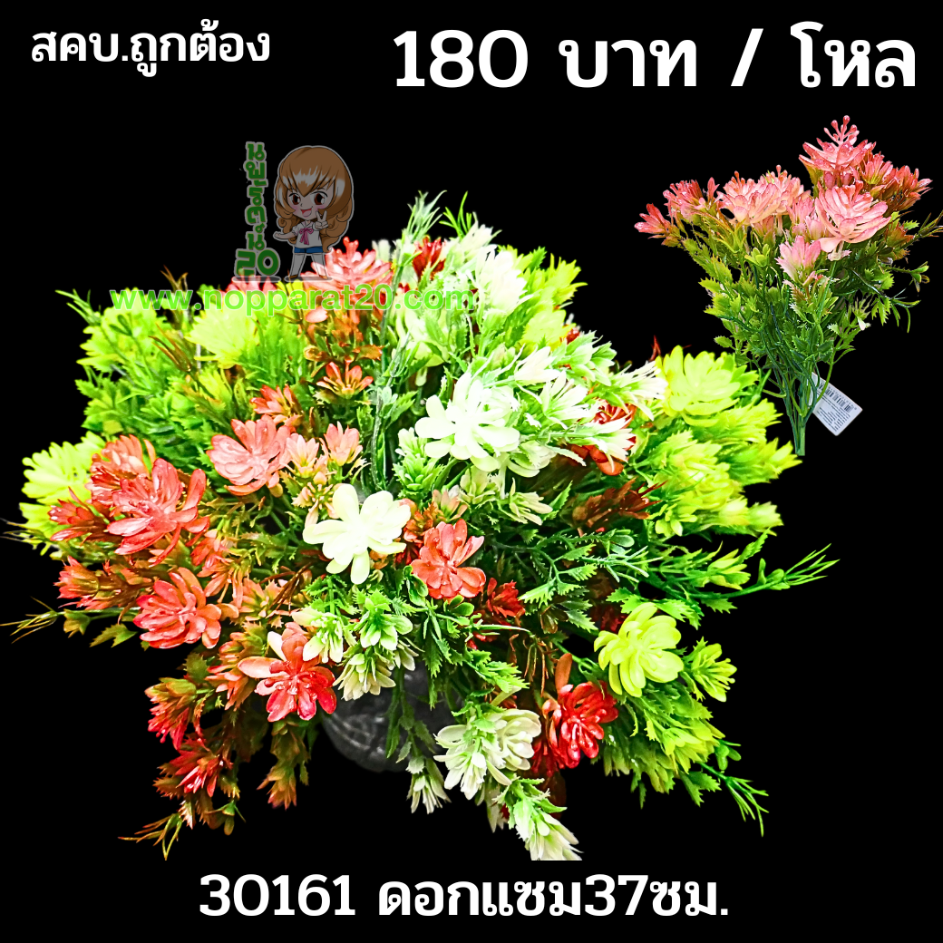 ขายส่งทุกอย่าง20,ทุกอย่าง20,ขายส่ง20,นพรัตน์20,แฟรนไชต์20,แฟรนไชส์20