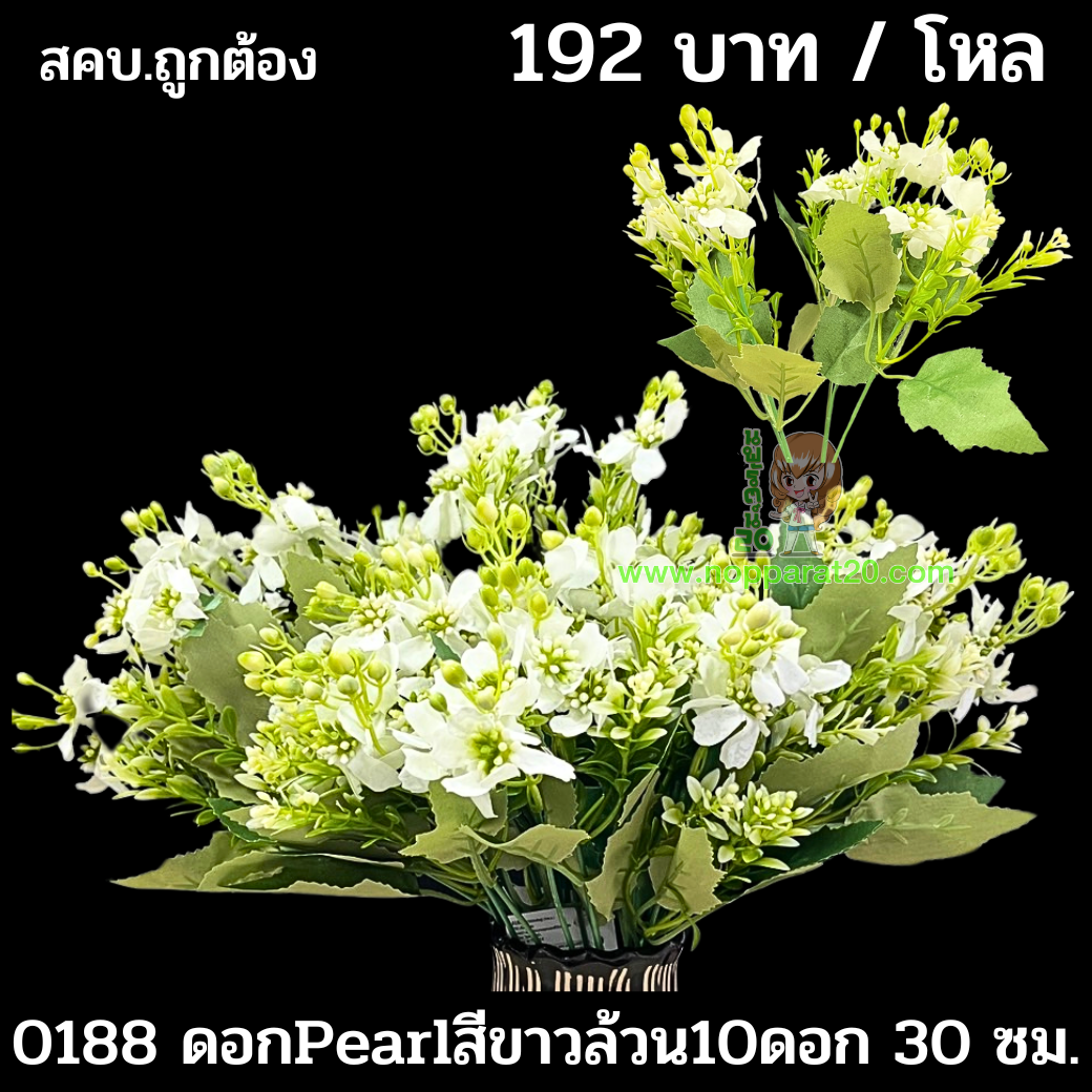 ขายส่งทุกอย่าง20,ทุกอย่าง20,ขายส่ง20,นพรัตน์20,แฟรนไชต์20,แฟรนไชส์20
