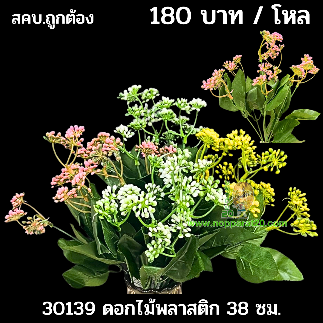 ขายส่งทุกอย่าง20,ทุกอย่าง20,ขายส่ง20,นพรัตน์20,แฟรนไชต์20,แฟรนไชส์20