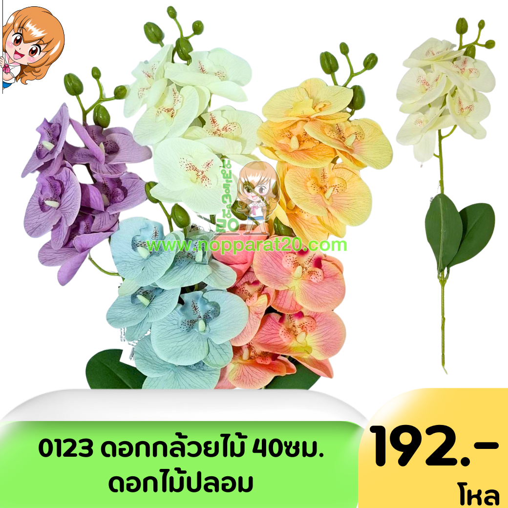 ขายส่งทุกอย่าง20,ทุกอย่าง20,ขายส่ง20,นพรัตน์20,แฟรนไชต์20,แฟรนไชส์20