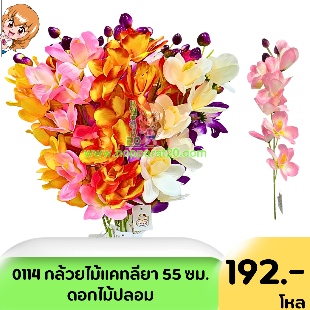 ขายส่งทุกอย่าง20,ทุกอย่าง20,ขายส่ง20,นพรัตน์20,แฟรนไชต์20,แฟรนไชส์20