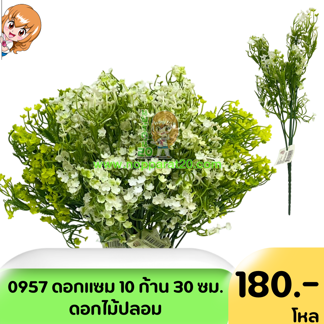 ขายส่งทุกอย่าง20,ทุกอย่าง20,ขายส่ง20,นพรัตน์20,แฟรนไชต์20,แฟรนไชส์20