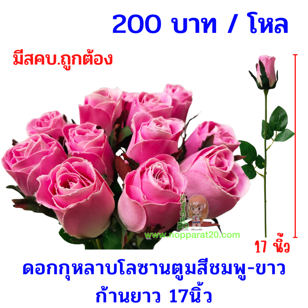 ขายส่งทุกอย่าง20,ทุกอย่าง20,ขายส่ง20,นพรัตน์20,แฟรนไชต์20,แฟรนไชส์20