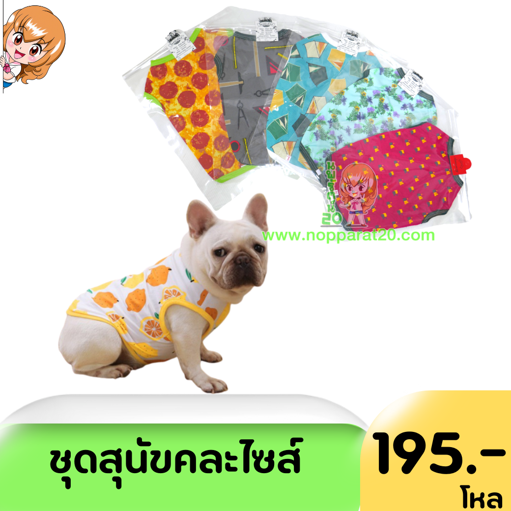 ขายส่งทุกอย่าง20,ทุกอย่าง20,ขายส่ง20,นพรัตน์20,แฟรนไชต์20,แฟรนไชส์20