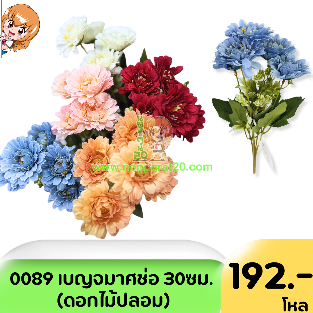 ขายส่งทุกอย่าง20,ทุกอย่าง20,ขายส่ง20,นพรัตน์20,แฟรนไชต์20,แฟรนไชส์20