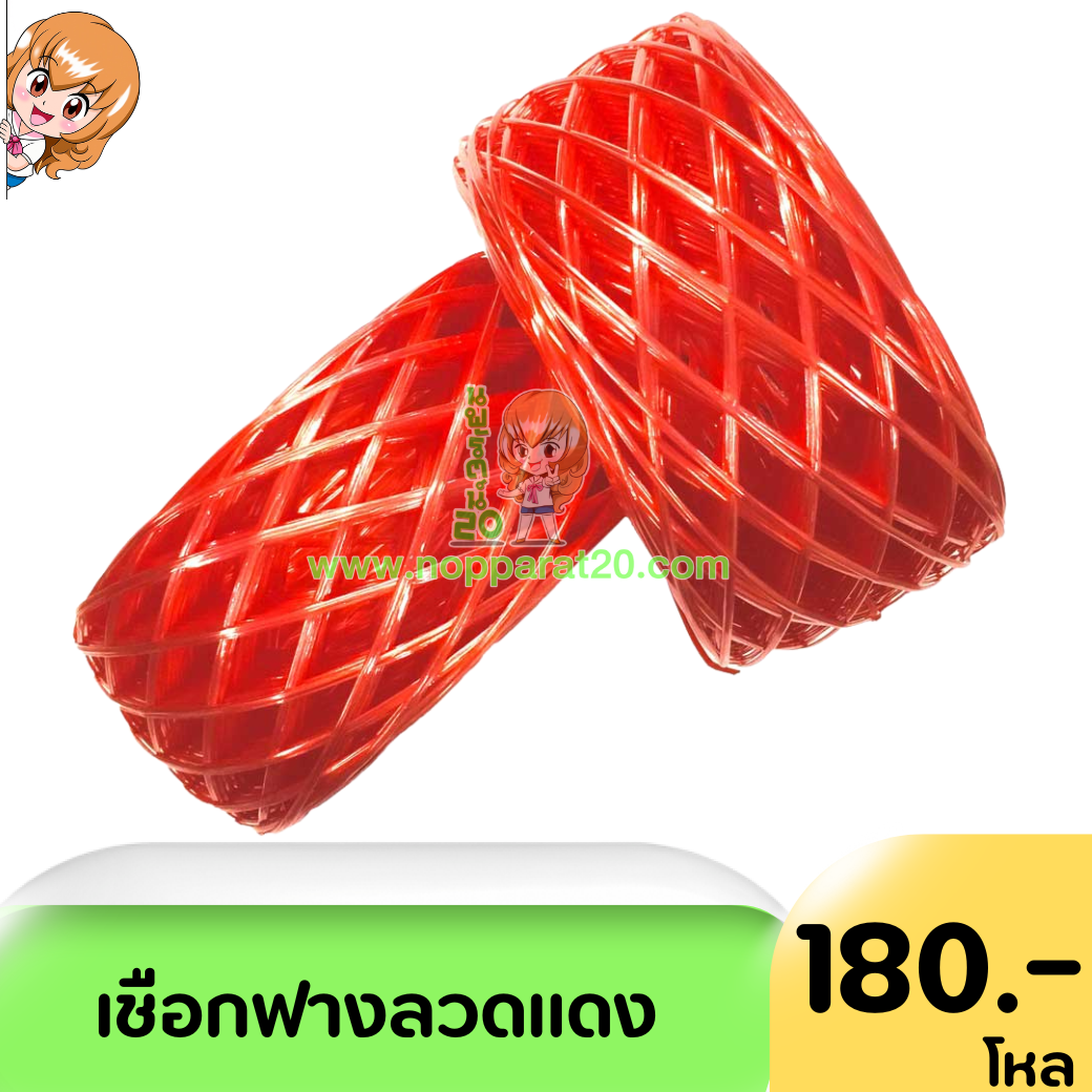 ขายส่งทุกอย่าง20,ทุกอย่าง20,ขายส่ง20,นพรัตน์20,แฟรนไชต์20,แฟรนไชส์20