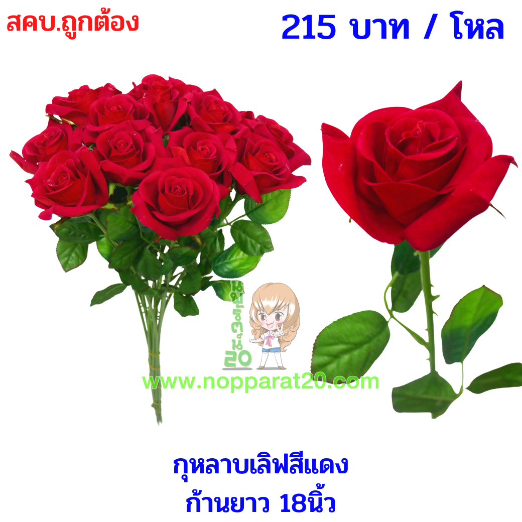 ขายส่งทุกอย่าง20,ทุกอย่าง20,ขายส่ง20,นพรัตน์20,แฟรนไชต์20,แฟรนไชส์20