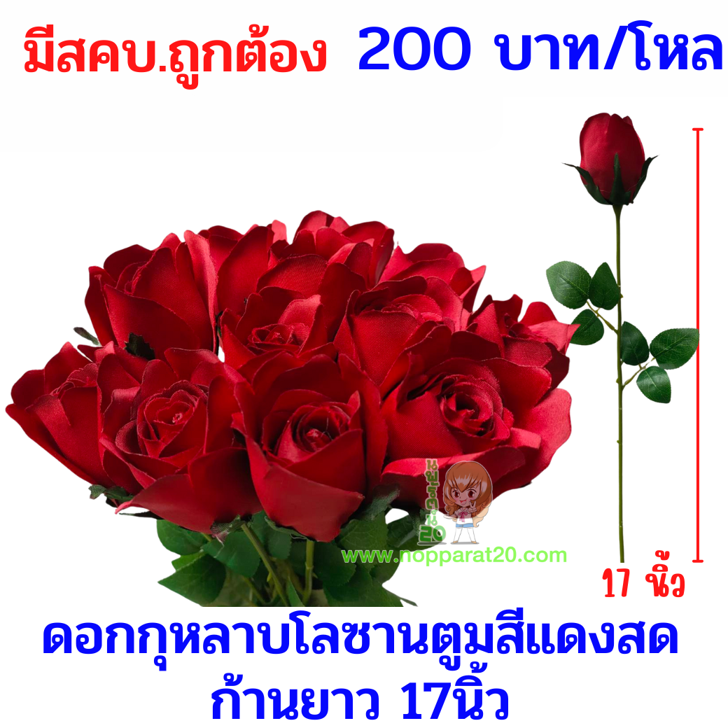 ขายส่งทุกอย่าง20,ทุกอย่าง20,ขายส่ง20,นพรัตน์20,แฟรนไชต์20,แฟรนไชส์20