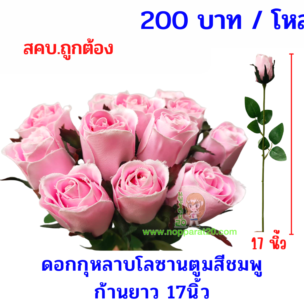 ขายส่งทุกอย่าง20,ทุกอย่าง20,ขายส่ง20,นพรัตน์20,แฟรนไชต์20,แฟรนไชส์20