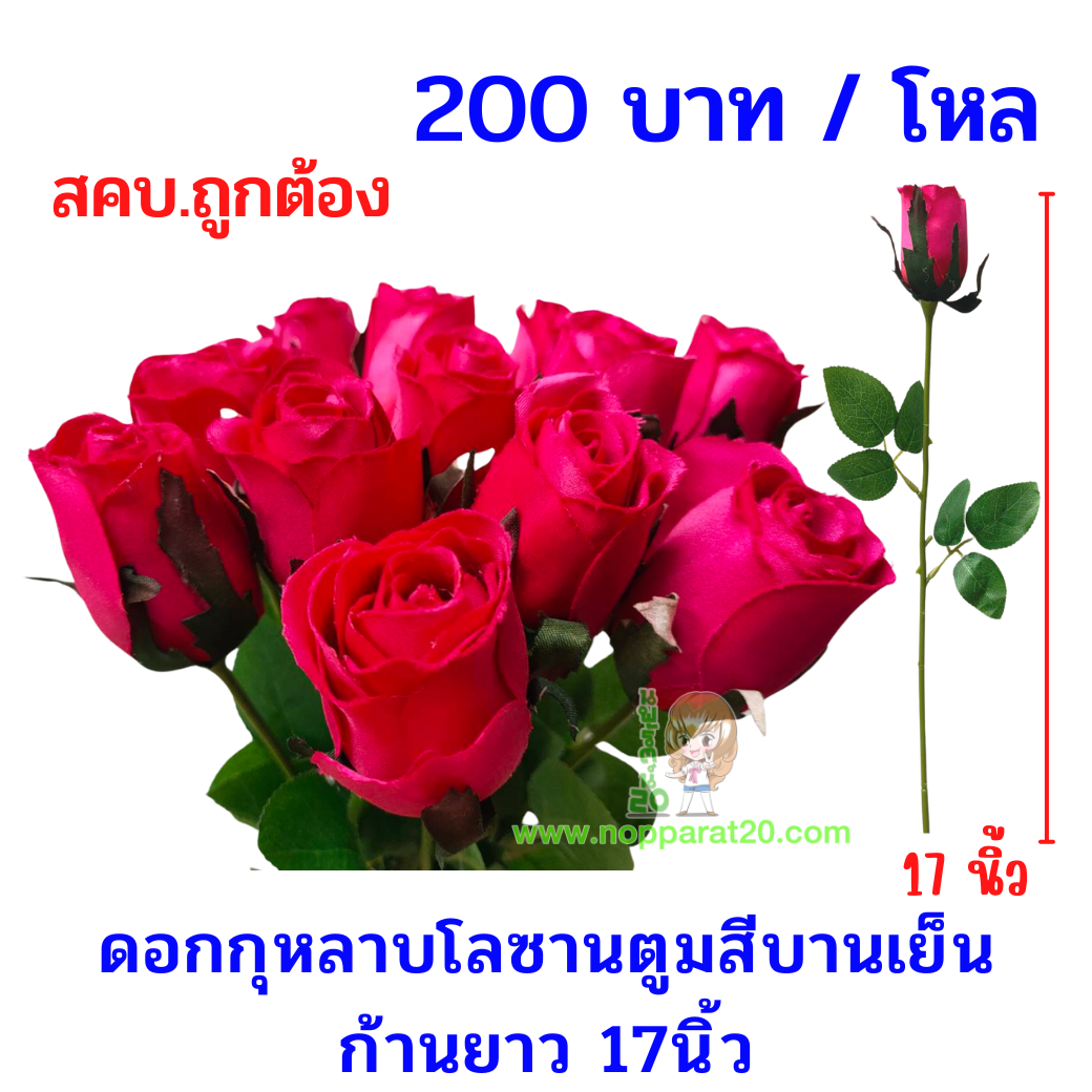 ขายส่งทุกอย่าง20,ทุกอย่าง20,ขายส่ง20,นพรัตน์20,แฟรนไชต์20,แฟรนไชส์20