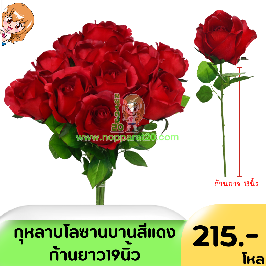 ขายส่งทุกอย่าง20,ทุกอย่าง20,ขายส่ง20,นพรัตน์20,แฟรนไชต์20,แฟรนไชส์20